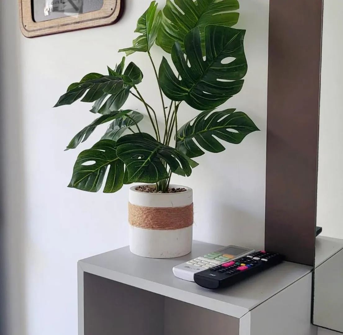 Malaga Monte Dorado Apartment