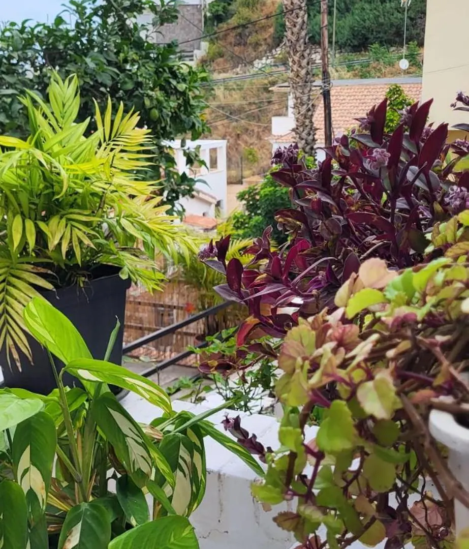 Malaga Monte Dorado Apartment Spain